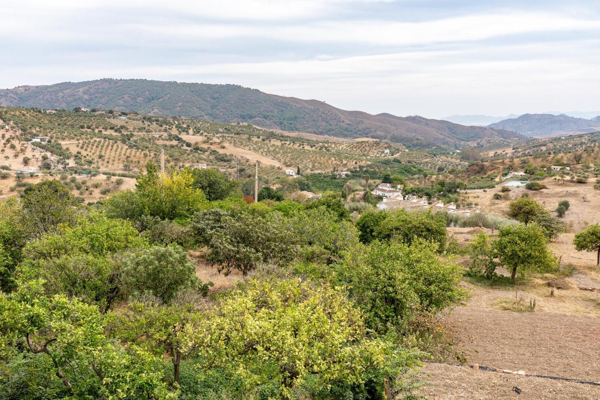 Malagasuite Cortijo Robles Casarabonela Exterior photo