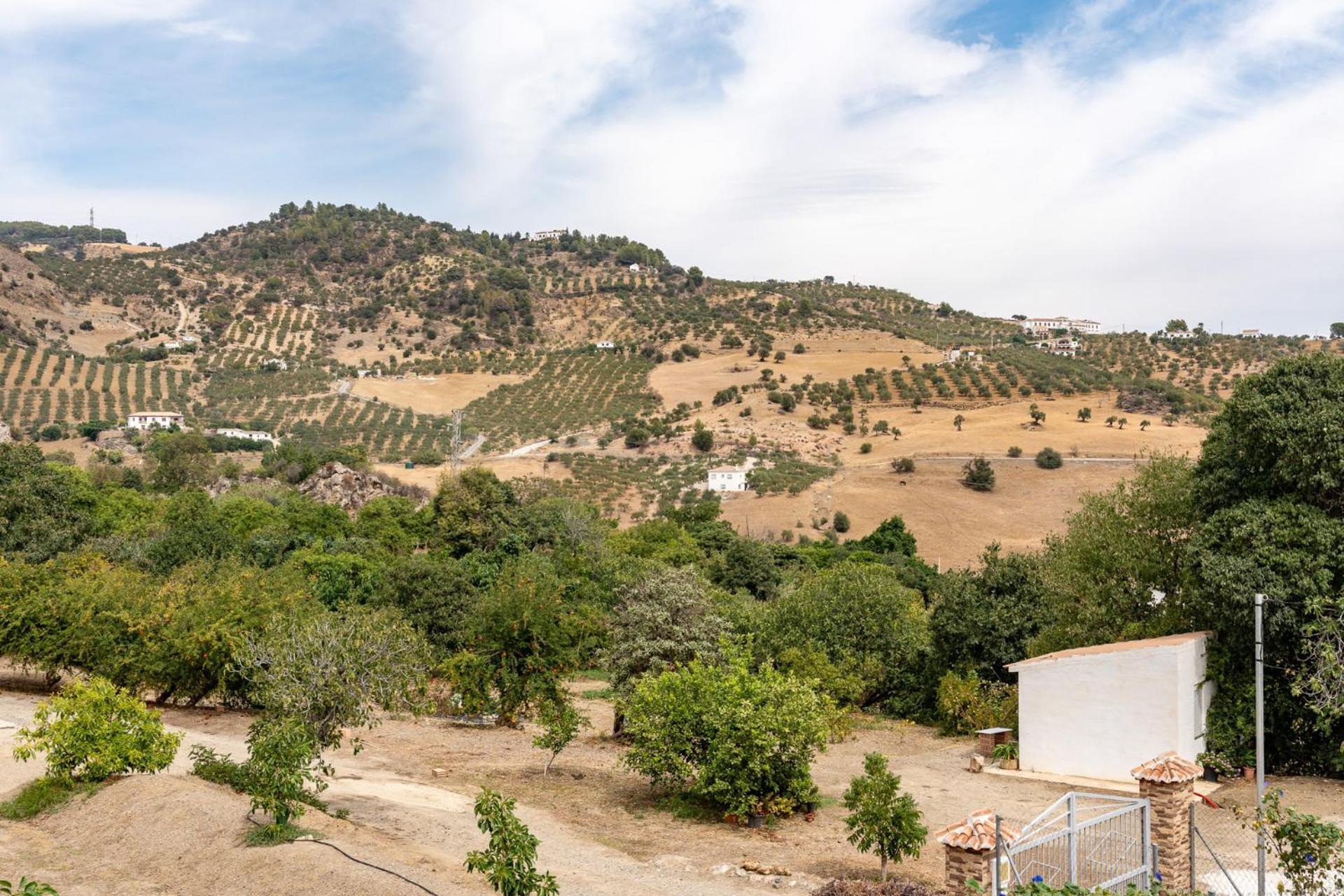 Malagasuite Cortijo Robles Casarabonela Exterior photo