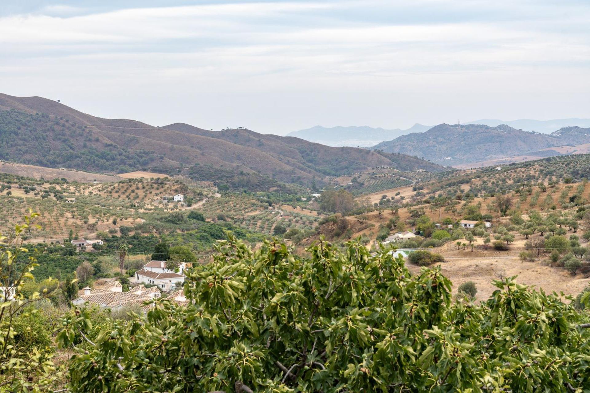 Malagasuite Cortijo Robles Casarabonela Exterior photo